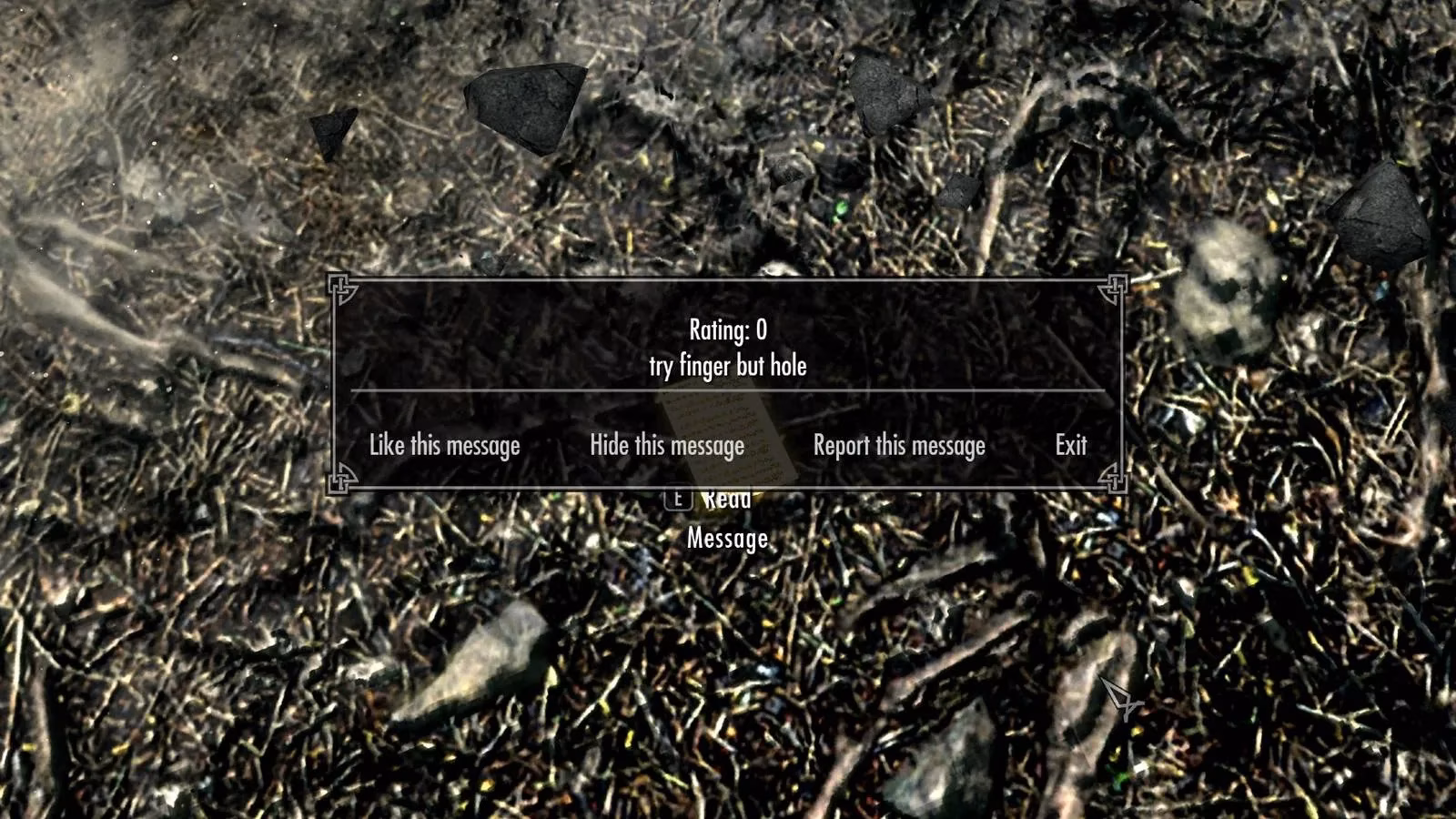 elden-rings-meme-worthy-messaging-system-is-now-a-skyrim-mod-image-0